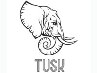 TUSK – タスク(六本木クラブ)